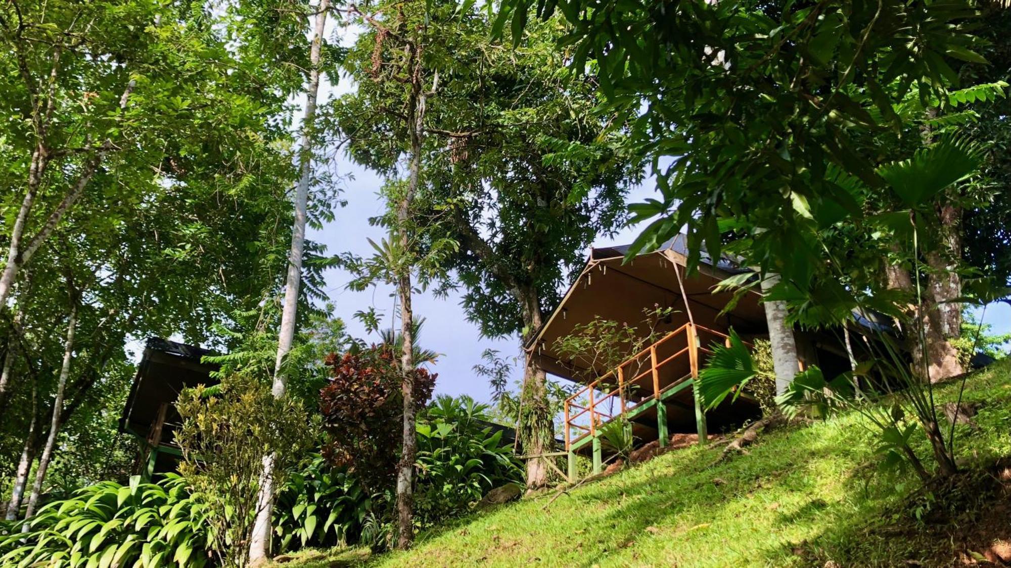 Rio Tico Safari Lodge Punta Mala Екстериор снимка